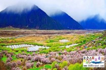西藏林芝桃花節(jié)及布達(dá)拉宮大昭寺攻略
